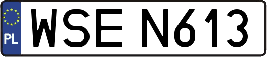WSEN613
