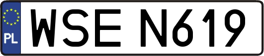 WSEN619