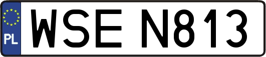 WSEN813