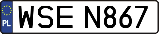 WSEN867
