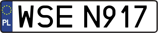 WSEN917