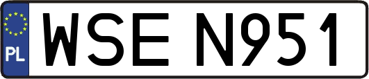 WSEN951