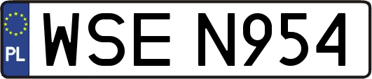 WSEN954
