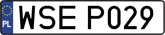 WSEP029