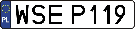 WSEP119