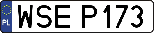 WSEP173