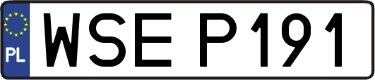 WSEP191