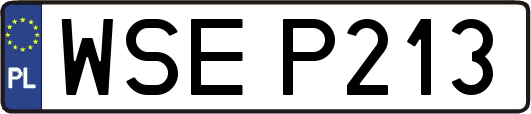 WSEP213