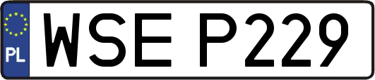 WSEP229