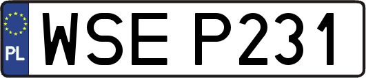WSEP231