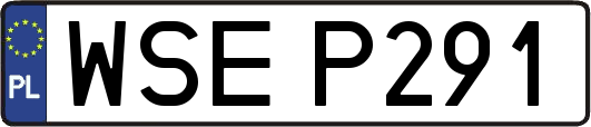 WSEP291