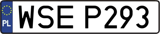 WSEP293