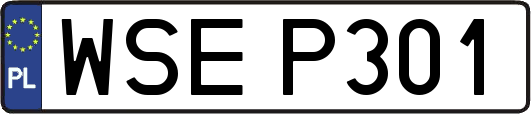 WSEP301