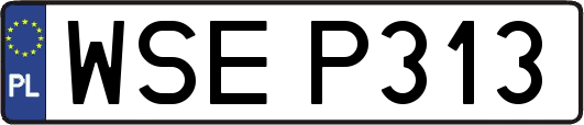 WSEP313