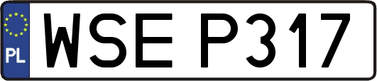 WSEP317