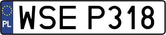 WSEP318