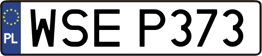 WSEP373