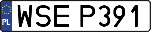 WSEP391