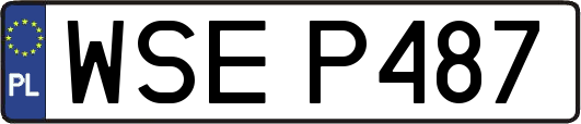 WSEP487