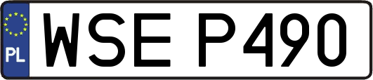 WSEP490