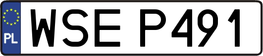 WSEP491
