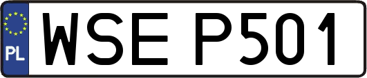 WSEP501