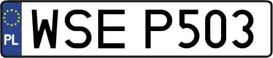 WSEP503
