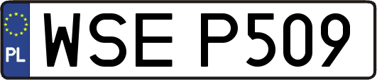WSEP509
