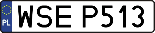 WSEP513