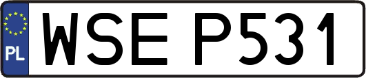 WSEP531