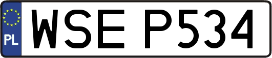 WSEP534