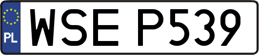 WSEP539