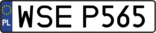 WSEP565