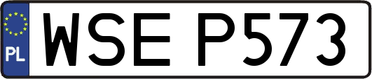 WSEP573