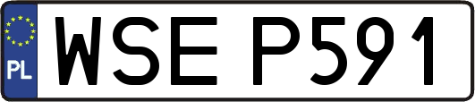 WSEP591