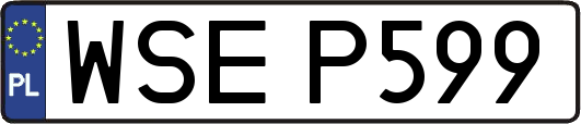 WSEP599