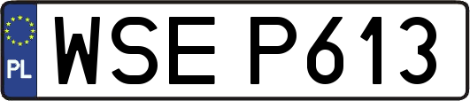 WSEP613