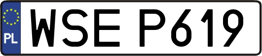 WSEP619