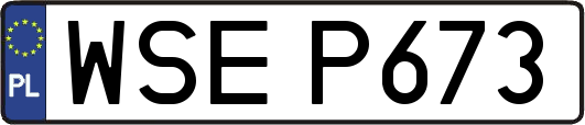 WSEP673