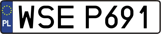 WSEP691