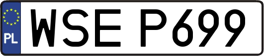 WSEP699