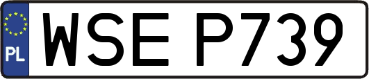 WSEP739