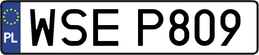 WSEP809
