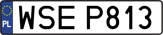 WSEP813