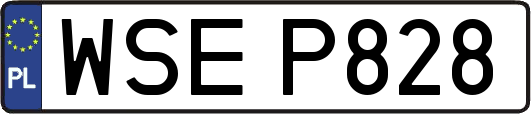 WSEP828