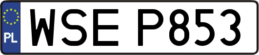 WSEP853