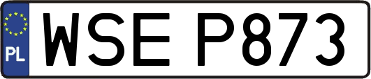 WSEP873