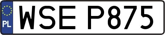 WSEP875