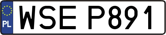 WSEP891