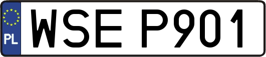 WSEP901